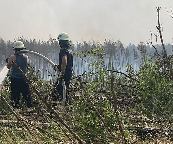 Zwei Feuerwehrleute löschen einen Waldbrand, Klimakrise