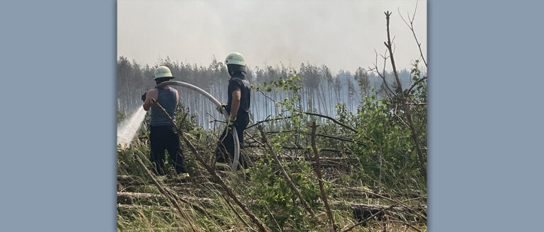 Zwei Feuerwehrleute löschen einen Waldbrand, Klimakrise