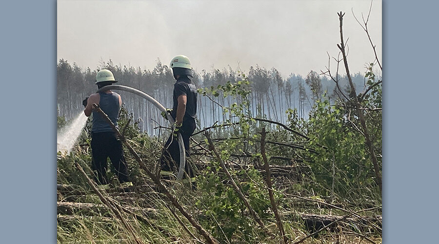 Zwei Feuerwehrleute löschen einen Waldbrand, Klimakrise