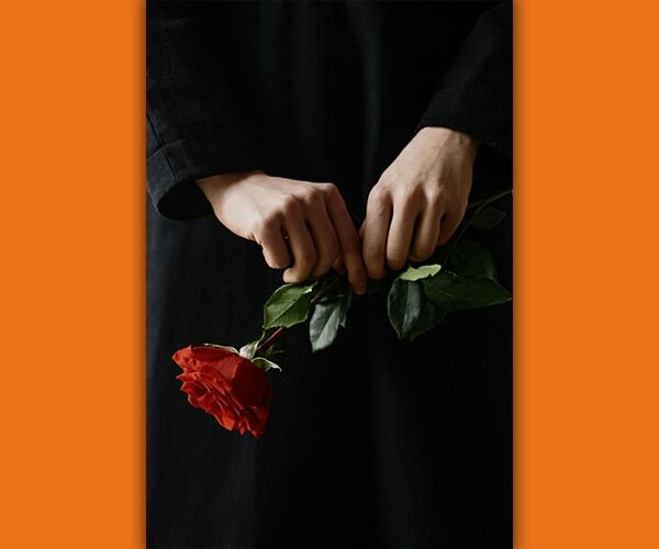 Hände, die eine rote Rose festhalten, Beerdigung, Nawalny