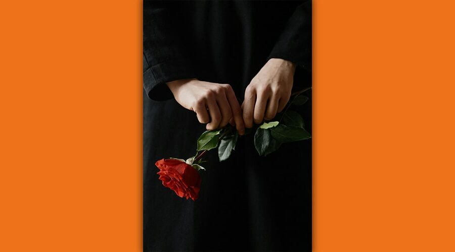 Hände, die eine rote Rose festhalten, Beerdigung, Nawalny
