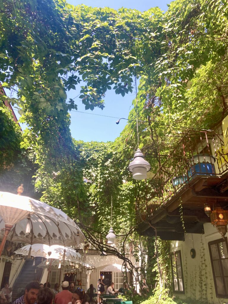 Blick in das Amerlingbeisl Wien, ein Beisl im Hof mit Wein überwachsen